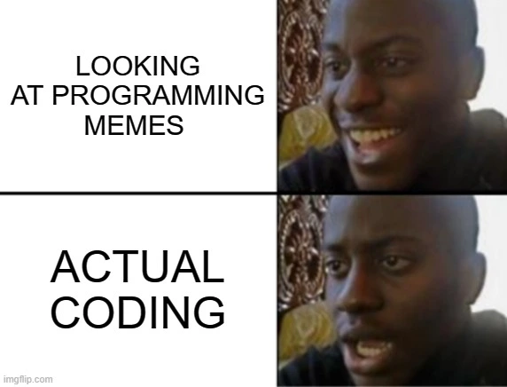 Looking at programming memes vs actual coding 