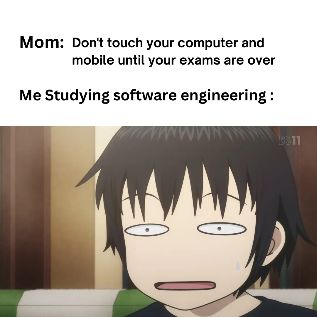 software engineering meme