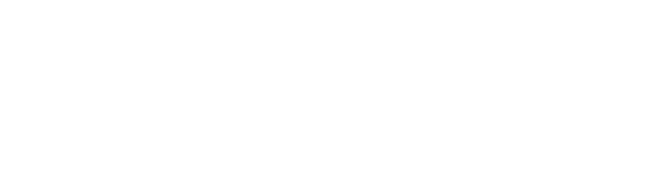 Wynshop Font logo